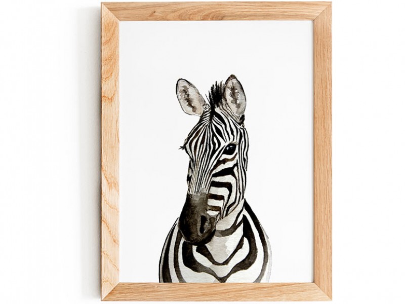 Zebra Foal Print