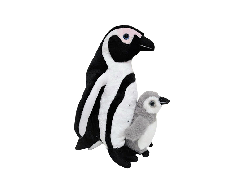 Mother And Baby African Penguin