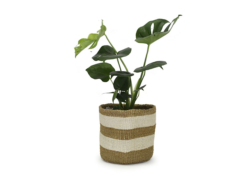 African Creative :: Kenyan Planter Basket - Natural #5