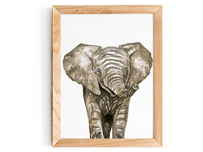 Baby Elephant Print