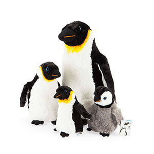 Emperor Penguin